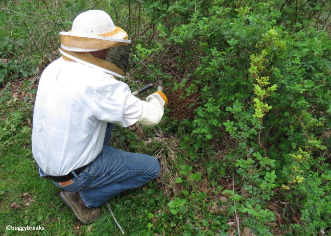 ???????????????????????????????