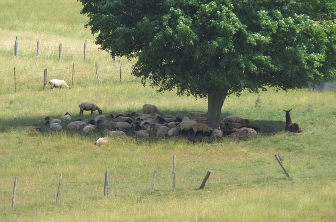 ???????????????????????????????