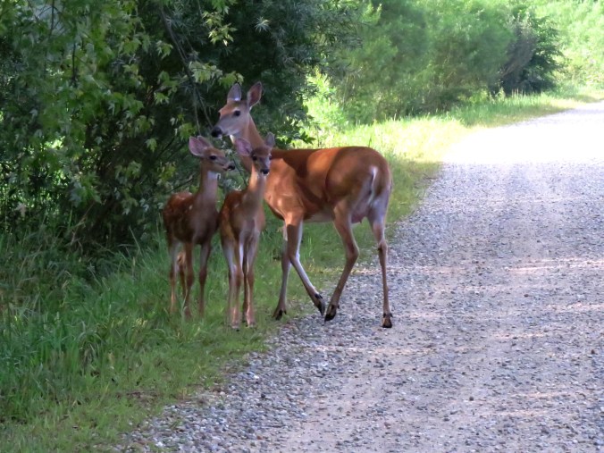 ???????????????????????????????