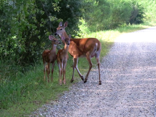 ???????????????????????????????