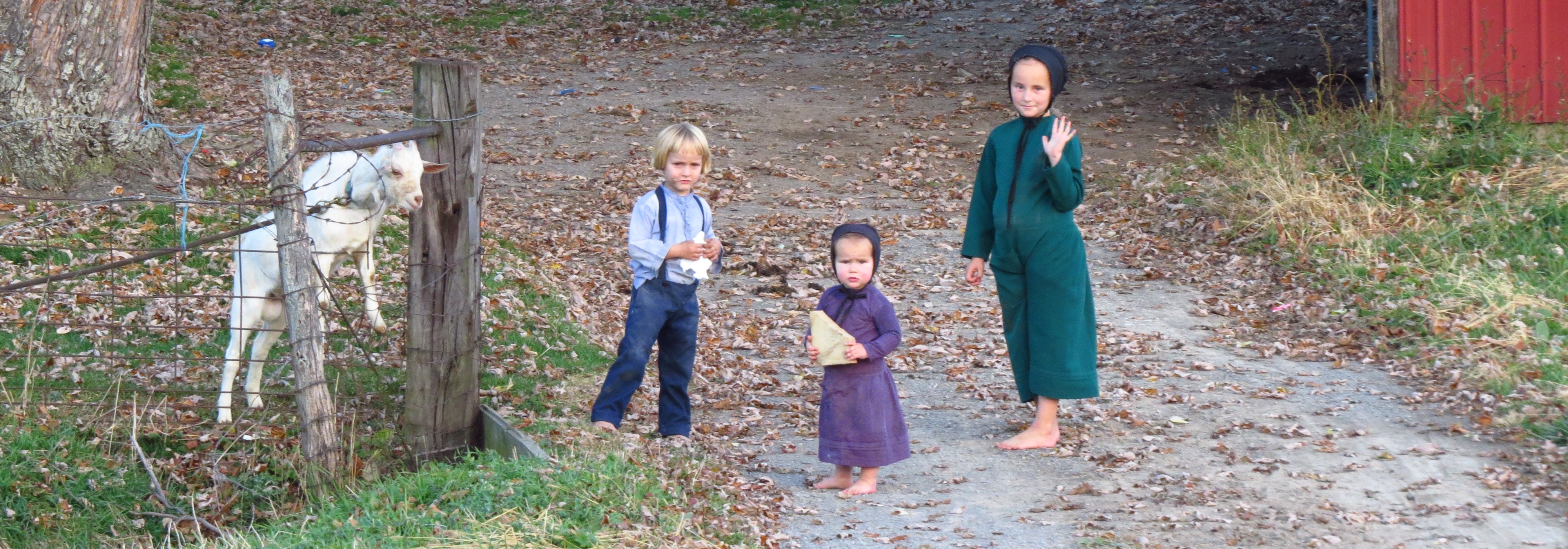 Children Goat IMG_0042